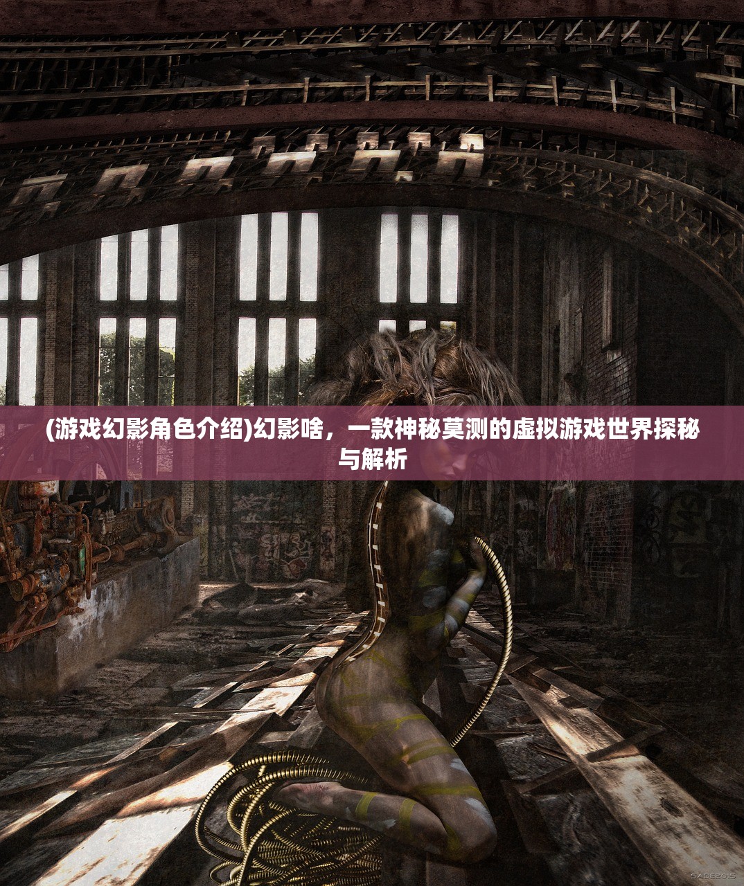 (小屋王国)王小屋20期落幕，未来任务何去何从？深度解析与FAQ解答
