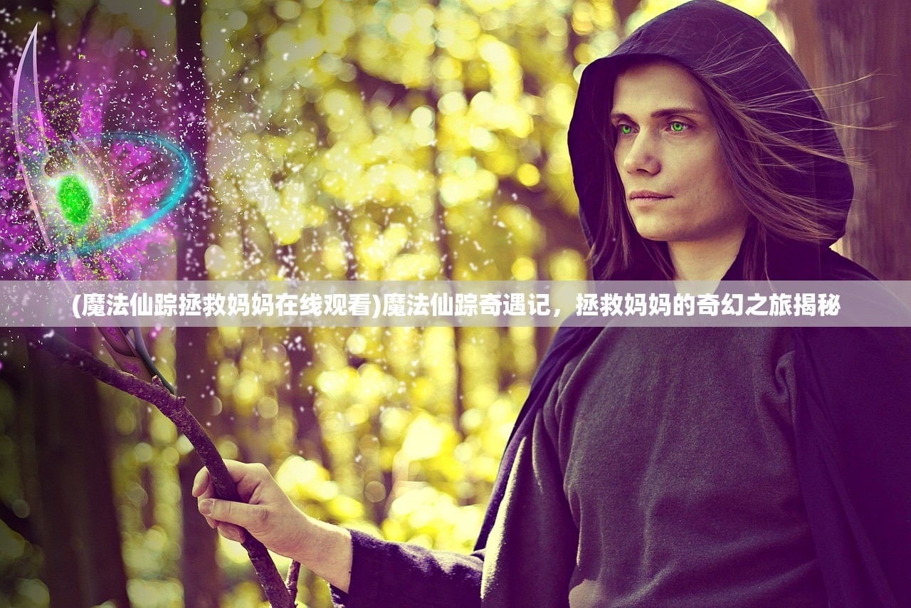 (魔法仙踪拯救妈妈在线观看)魔法仙踪奇遇记，拯救妈妈的奇幻之旅揭秘