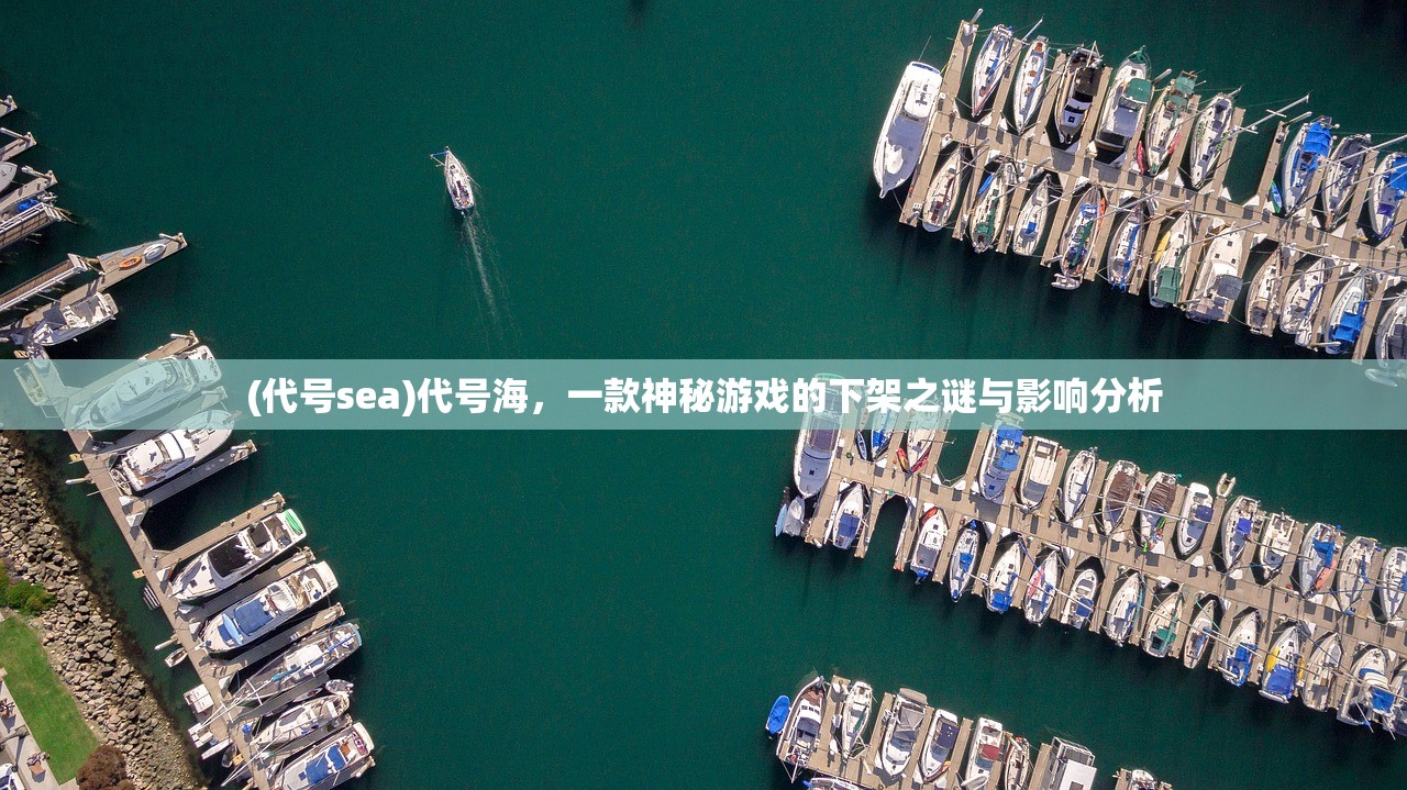 (代号sea)代号海，一款神秘游戏的下架之谜与影响分析