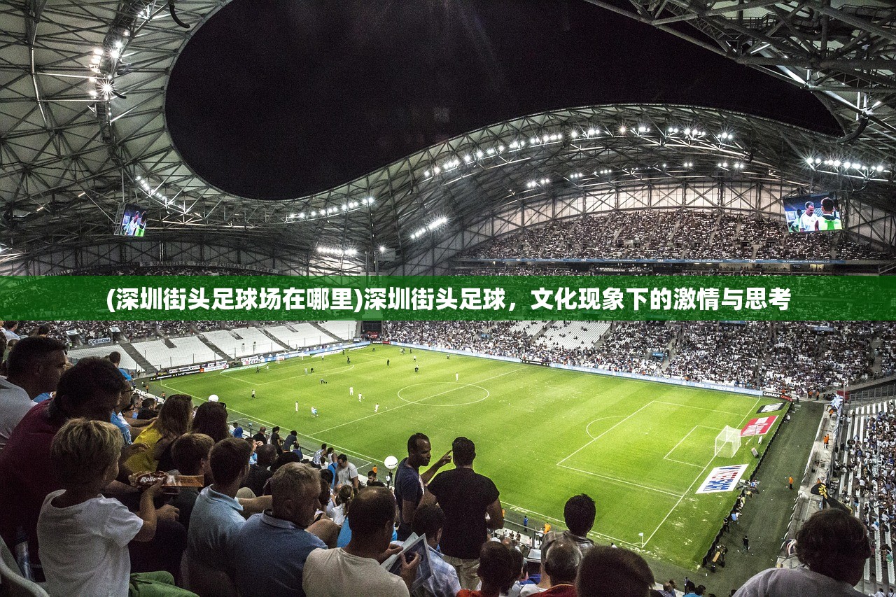 (深圳街头足球场在哪里)深圳街头足球，文化现象下的激情与思考