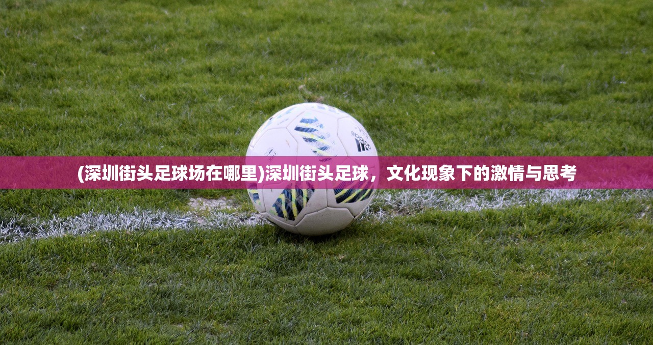 (深圳街头足球场在哪里)深圳街头足球，文化现象下的激情与思考