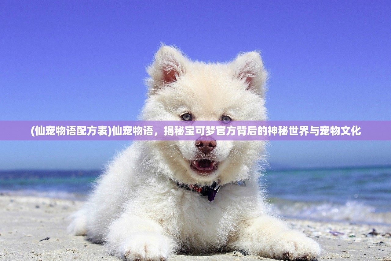 (仙宠物语配方表)仙宠物语，揭秘宝可梦官方背后的神秘世界与宠物文化