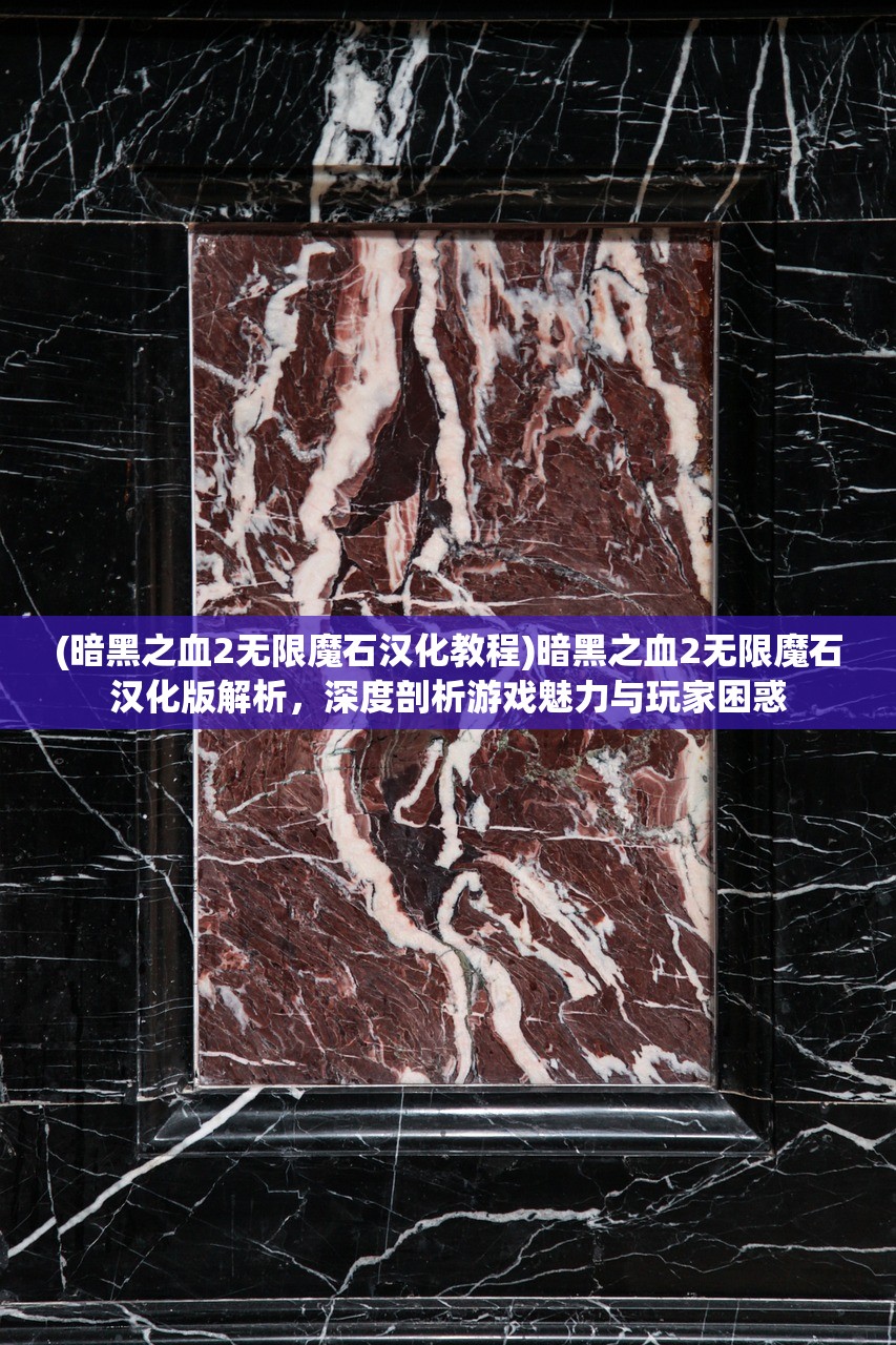 (暗黑之血2无限魔石汉化教程)暗黑之血2无限魔石汉化版解析，深度剖析游戏魅力与玩家困惑