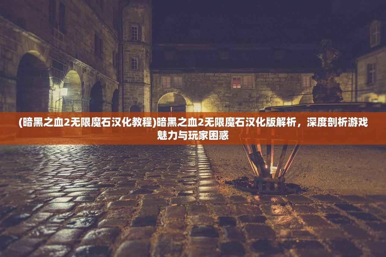 (暗黑之血2无限魔石汉化教程)暗黑之血2无限魔石汉化版解析，深度剖析游戏魅力与玩家困惑