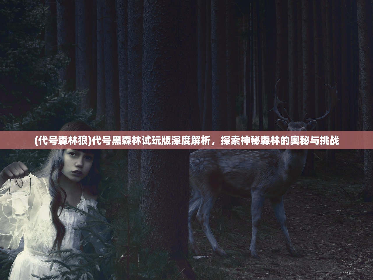 (代号森林狼)代号黑森林试玩版深度解析，探索神秘森林的奥秘与挑战