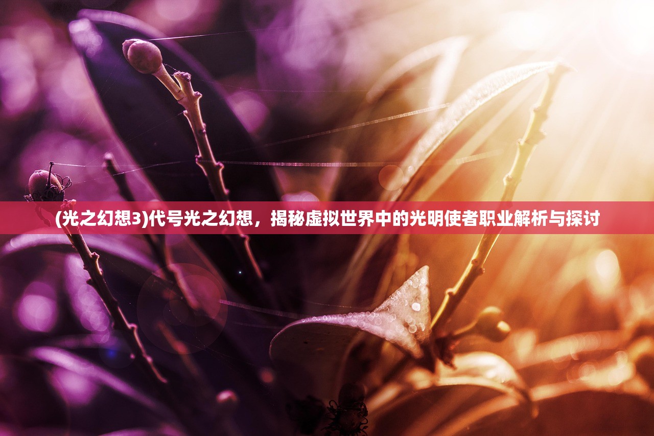 (光之幻想3)代号光之幻想，揭秘虚拟世界中的光明使者职业解析与探讨