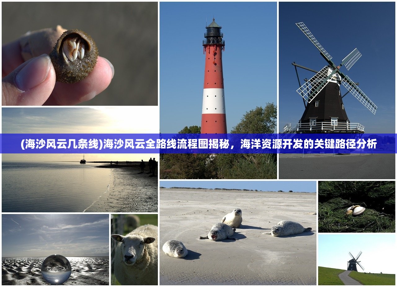 (海沙风云几条线)海沙风云全路线流程图揭秘，海洋资源开发的关键路径分析