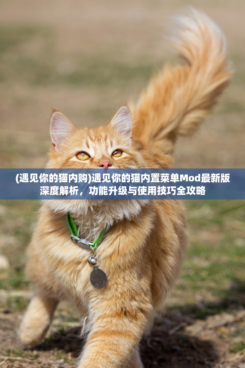 (遇见你的猫内购)遇见你的猫内置菜单Mod最新版深度解析，功能升级与使用技巧全攻略