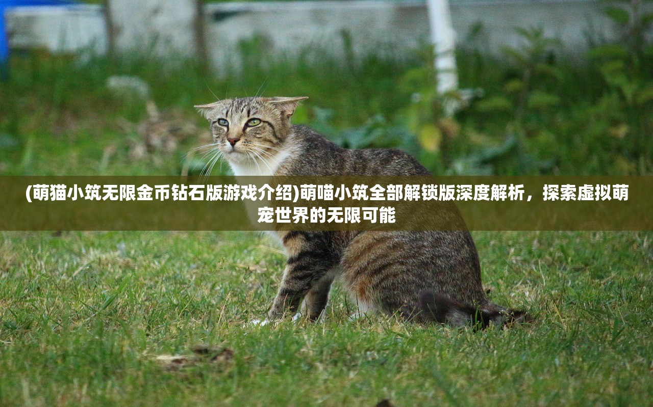 (萌猫小筑无限金币钻石版游戏介绍)萌喵小筑全部解锁版深度解析，探索虚拟萌宠世界的无限可能