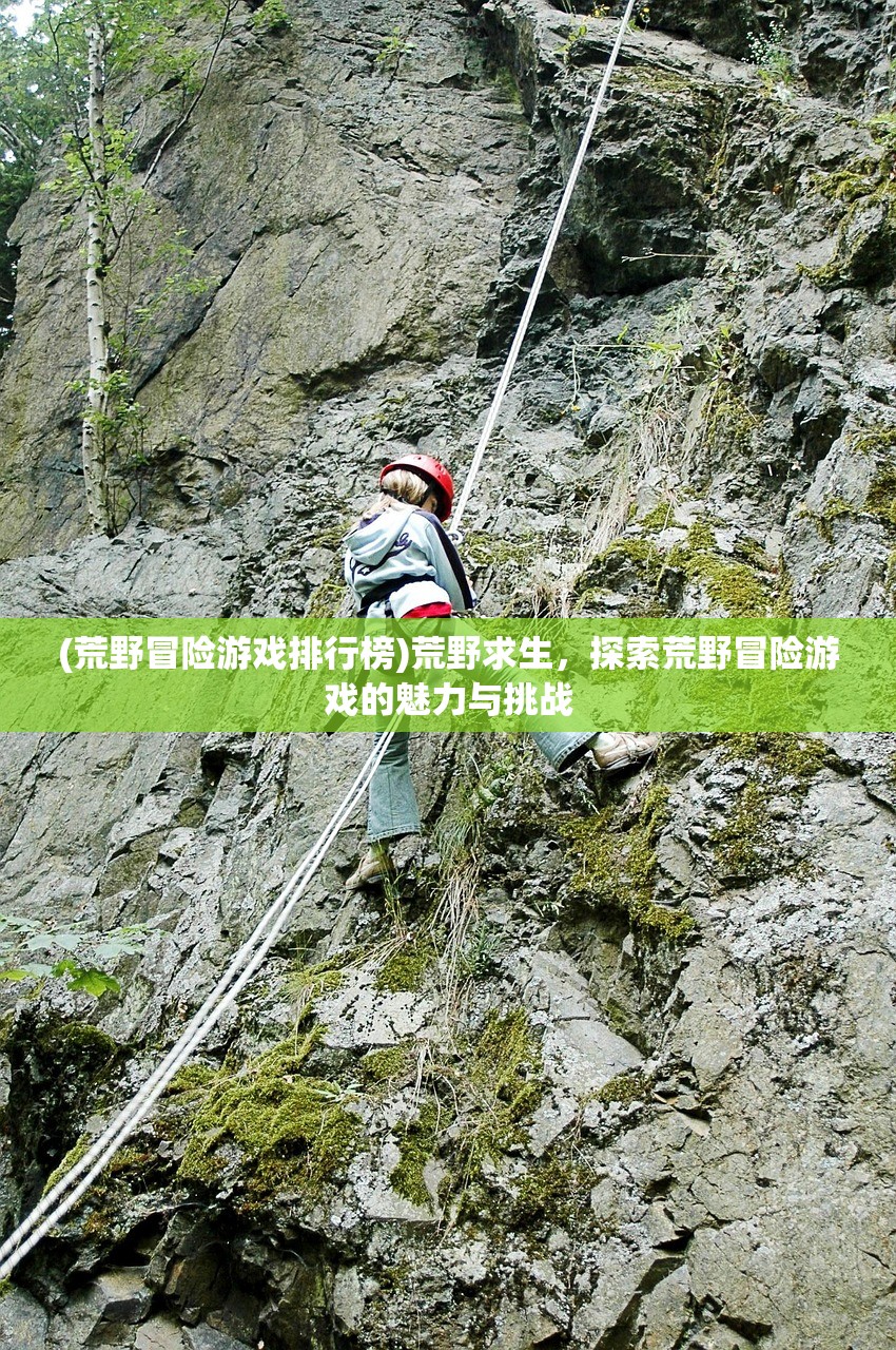 (荒野冒险游戏排行榜)荒野求生，探索荒野冒险游戏的魅力与挑战